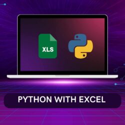 Python with Excel