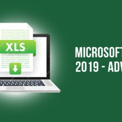 Microsoft Excel 2019 - Advanced