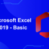 Microsoft Excel 2019 - Basic