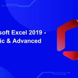 Microsoft Excel 2019 - Basic & Advanced