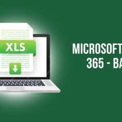 Microsoft Excel 365 - Basic