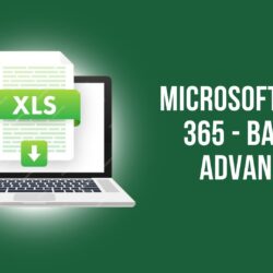 Microsoft Excel 365 - Basic & Advanced