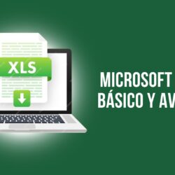 Microsoft Excel - Básico y Avanzado