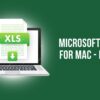 Microsoft Excel for Mac - Basic