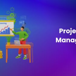 Project Manager