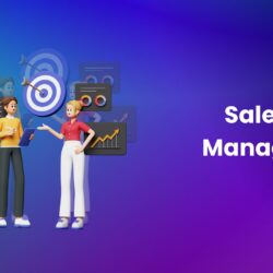 Sales Manager