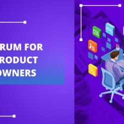 Scrum for Product Owners
