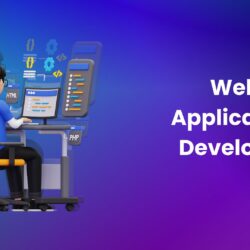 Web Application Developer